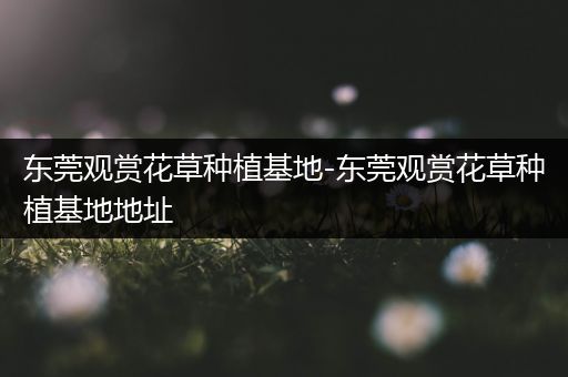 东莞观赏花草种植基地-东莞观赏花草种植基地地址