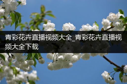 青彩花卉直播视频大全_青彩花卉直播视频大全下载