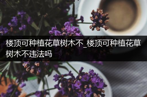 楼顶可种植花草树木不_楼顶可种植花草树木不违法吗