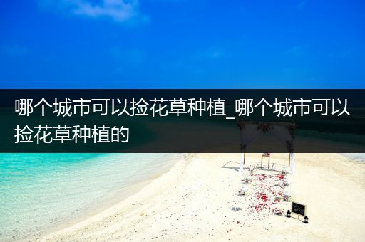 哪个城市可以捡花草种植_哪个城市可以捡花草种植的