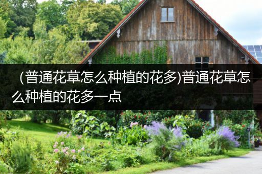 （普通花草怎么种植的花多)普通花草怎么种植的花多一点