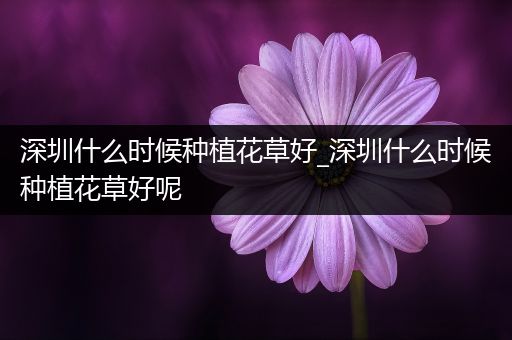 深圳什么时候种植花草好_深圳什么时候种植花草好呢