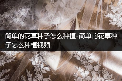 简单的花草种子怎么种植-简单的花草种子怎么种植视频