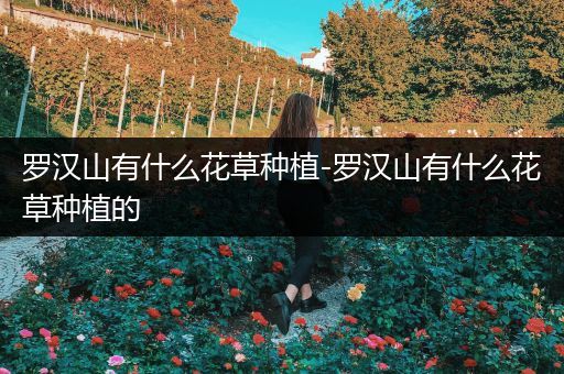 罗汉山有什么花草种植-罗汉山有什么花草种植的