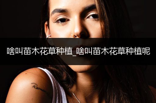 啥叫苗木花草种植_啥叫苗木花草种植呢