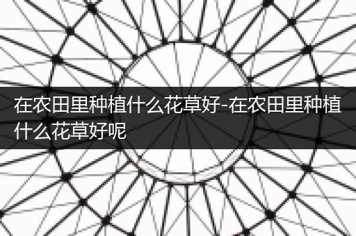 在农田里种植什么花草好-在农田里种植什么花草好呢