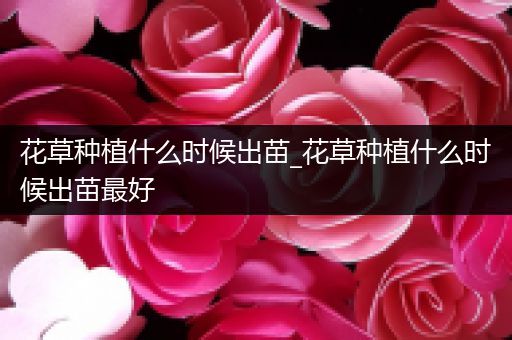 花草种植什么时候出苗_花草种植什么时候出苗最好