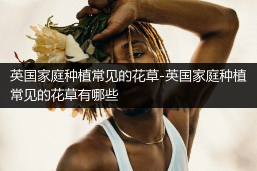 英国家庭种植常见的花草-英国家庭种植常见的花草有哪些