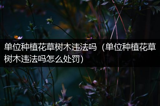 单位种植花草树木违法吗（单位种植花草树木违法吗怎么处罚）