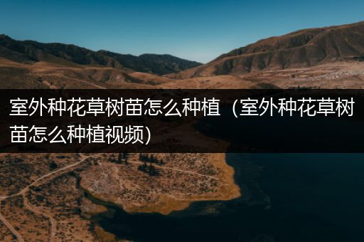 室外种花草树苗怎么种植（室外种花草树苗怎么种植视频）