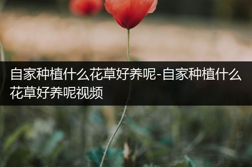 自家种植什么花草好养呢-自家种植什么花草好养呢视频