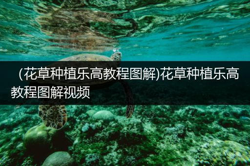 （花草种植乐高教程图解)花草种植乐高教程图解视频