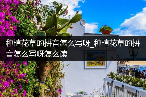 种植花草的拼音怎么写呀_种植花草的拼音怎么写呀怎么读