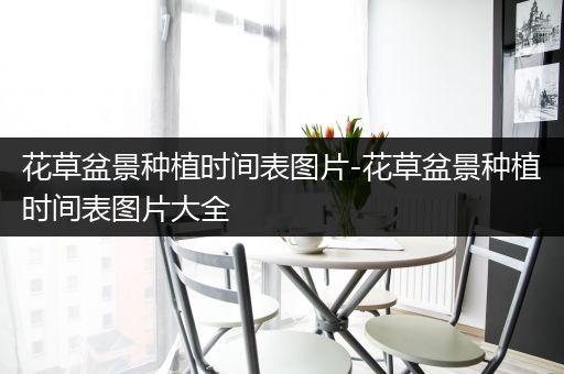 花草盆景种植时间表图片-花草盆景种植时间表图片大全