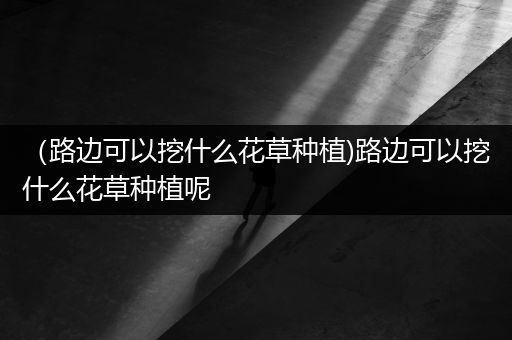 （路边可以挖什么花草种植)路边可以挖什么花草种植呢