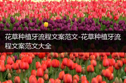 花草种植牙流程文案范文-花草种植牙流程文案范文大全