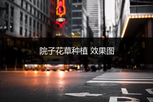 院子花草种植 效果图