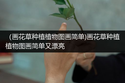 （画花草种植植物图画简单)画花草种植植物图画简单又漂亮