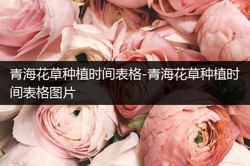 青海花草种植时间表格-青海花草种植时间表格图片
