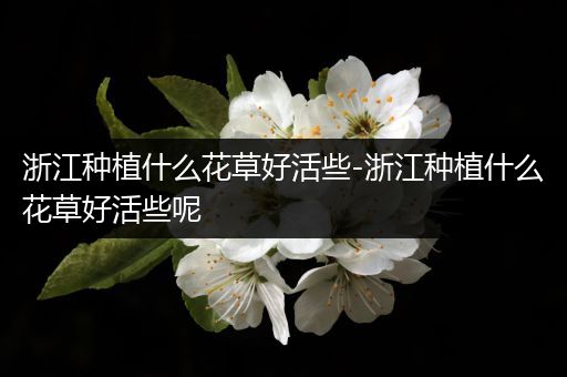 浙江种植什么花草好活些-浙江种植什么花草好活些呢