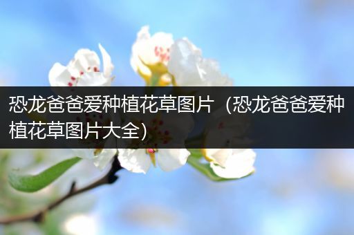 恐龙爸爸爱种植花草图片（恐龙爸爸爱种植花草图片大全）