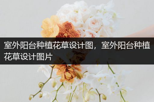 室外阳台种植花草设计图，室外阳台种植花草设计图片