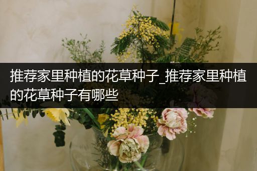推荐家里种植的花草种子_推荐家里种植的花草种子有哪些