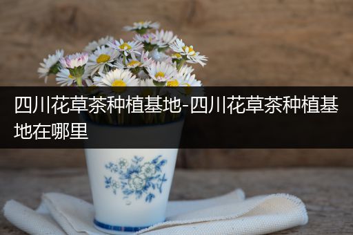 四川花草茶种植基地-四川花草茶种植基地在哪里
