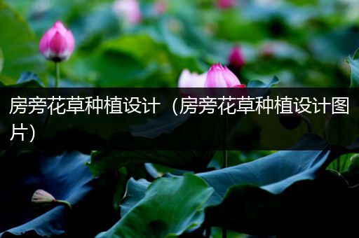 房旁花草种植设计（房旁花草种植设计图片）
