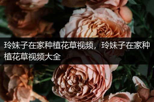 玲妹子在家种植花草视频，玲妹子在家种植花草视频大全