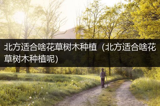 北方适合啥花草树木种植（北方适合啥花草树木种植呢）