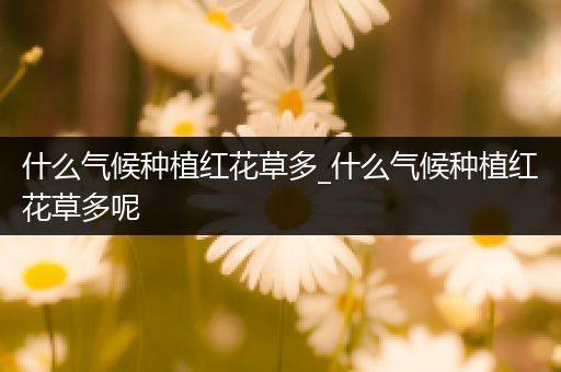 什么气候种植红花草多_什么气候种植红花草多呢