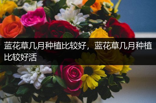 蓝花草几月种植比较好，蓝花草几月种植比较好活