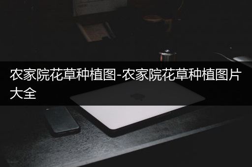 农家院花草种植图-农家院花草种植图片大全