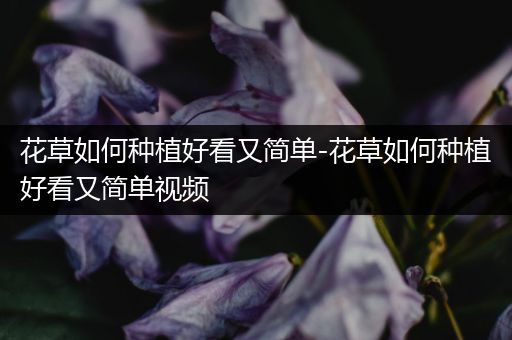 花草如何种植好看又简单-花草如何种植好看又简单视频