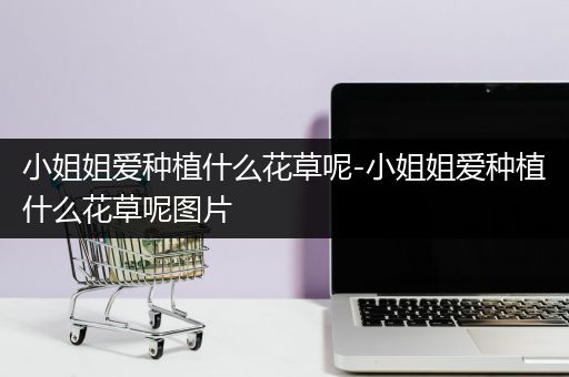 小姐姐爱种植什么花草呢-小姐姐爱种植什么花草呢图片