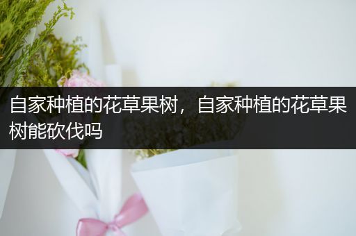 自家种植的花草果树，自家种植的花草果树能砍伐吗