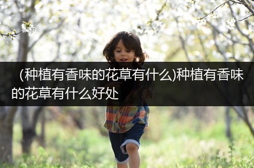 （种植有香味的花草有什么)种植有香味的花草有什么好处