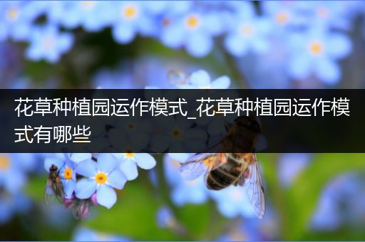 花草种植园运作模式_花草种植园运作模式有哪些