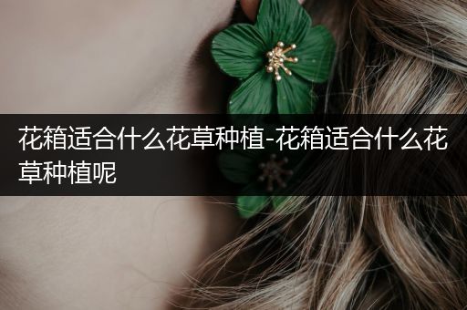 花箱适合什么花草种植-花箱适合什么花草种植呢