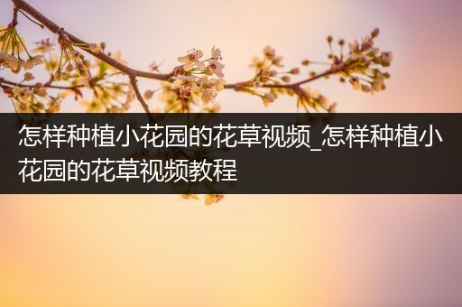 怎样种植小花园的花草视频_怎样种植小花园的花草视频教程
