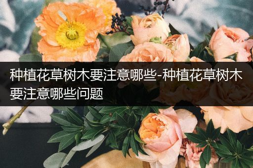种植花草树木要注意哪些-种植花草树木要注意哪些问题