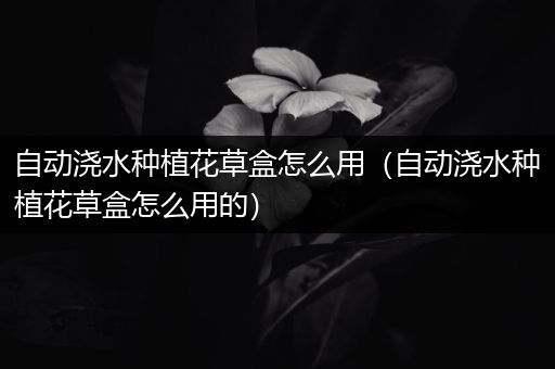 自动浇水种植花草盒怎么用（自动浇水种植花草盒怎么用的）