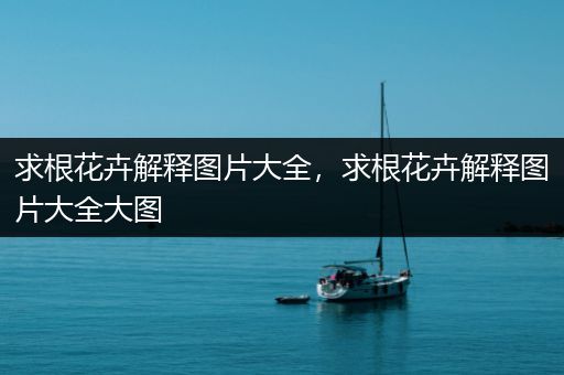 求根花卉解释图片大全，求根花卉解释图片大全大图