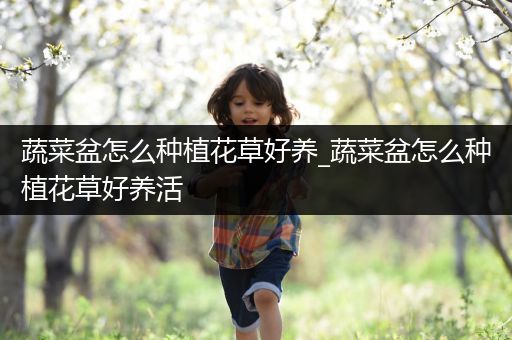 蔬菜盆怎么种植花草好养_蔬菜盆怎么种植花草好养活