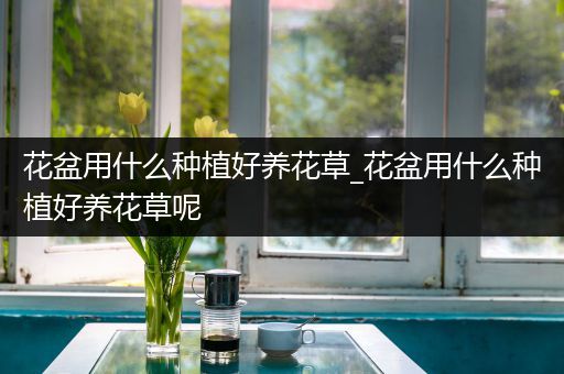 花盆用什么种植好养花草_花盆用什么种植好养花草呢