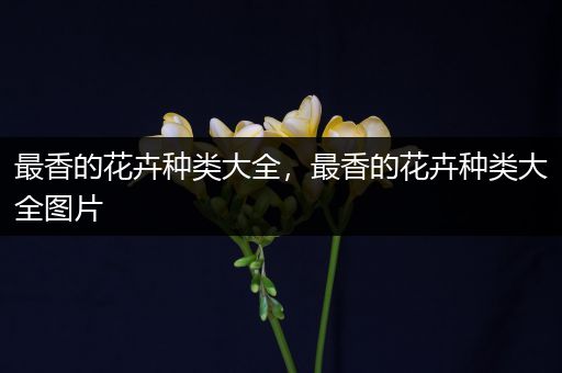 最香的花卉种类大全，最香的花卉种类大全图片