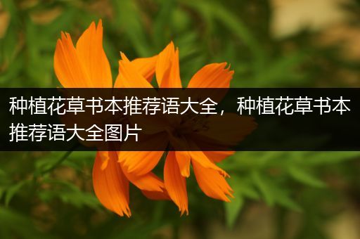 种植花草书本推荐语大全，种植花草书本推荐语大全图片