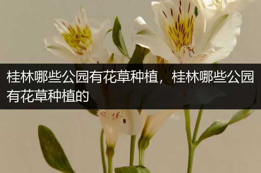 桂林哪些公园有花草种植，桂林哪些公园有花草种植的