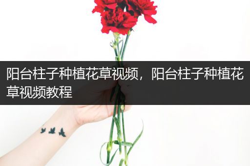 阳台柱子种植花草视频，阳台柱子种植花草视频教程